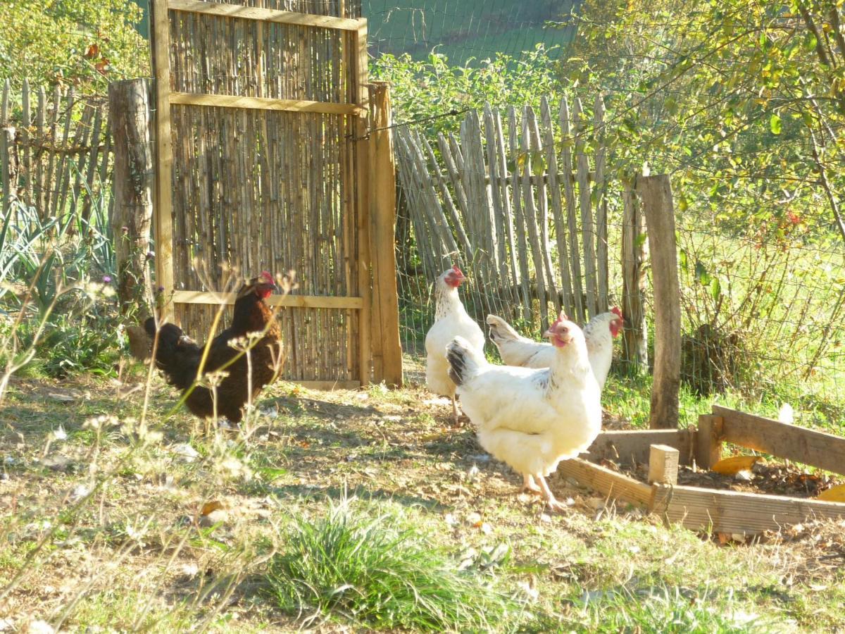 Les Granges De La Hulotte, La Hulotte Villa Lies Bagian luar foto
